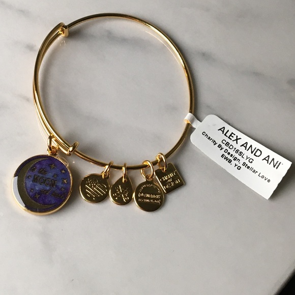 Alex and Ani Stellar Love Charity Design Bracelet - Picture 6 of 10